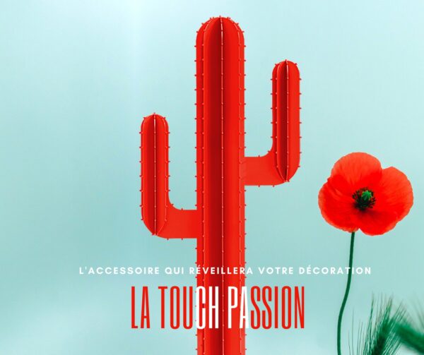 CACTUS BRANCHE ROUGE – Image 3