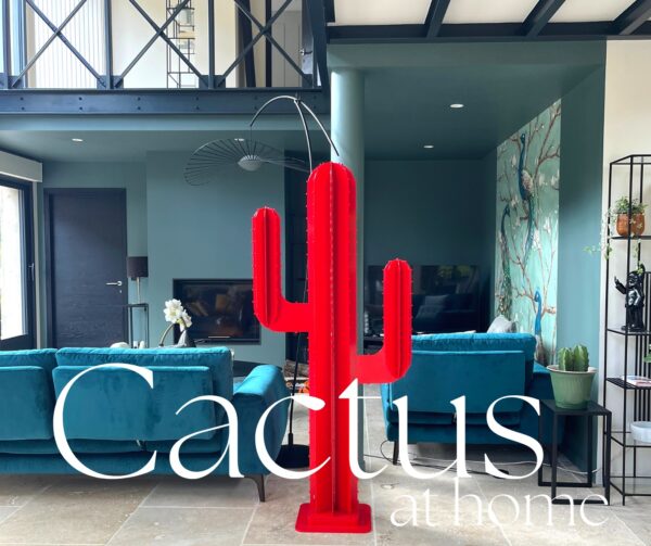 CACTUS BRANCHE ROUGE – Image 4