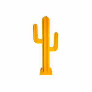 CACTUS BRANCHE JAUNE