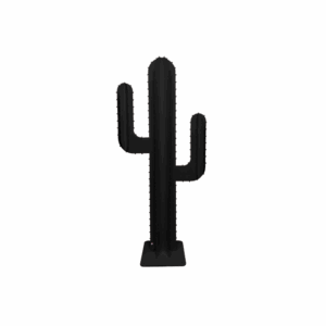 CACTUS BRANCHE NOIR