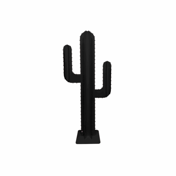 CACTUS BRANCHE NOIR