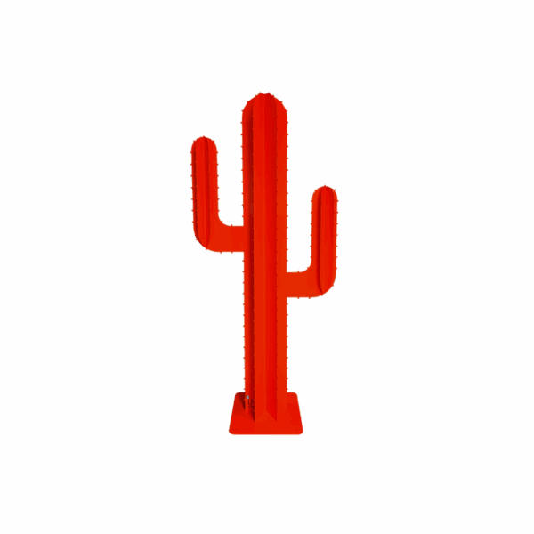 CACTUS BRANCHE ROUGE